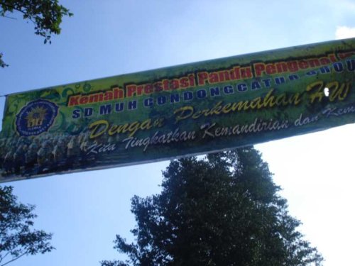 DSC09922_1